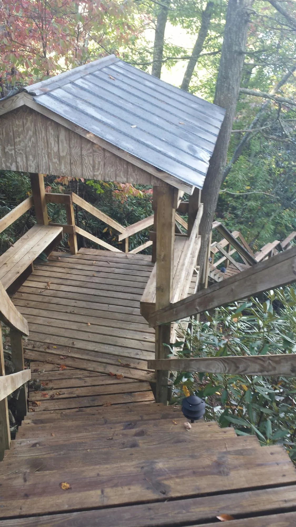 Metal roofed shelter over wooden steps on a wooded walkway — Skylight Repair & Installation work by our crew in Bellvue
