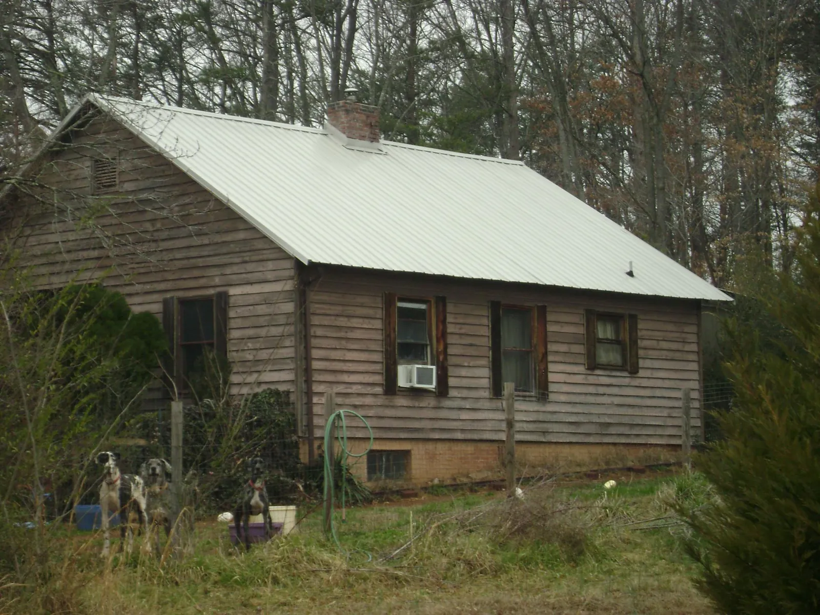 White metal roof on an old wood sided farmhouse, from a Asphalt Shingle Roof Repair job in Bellvue